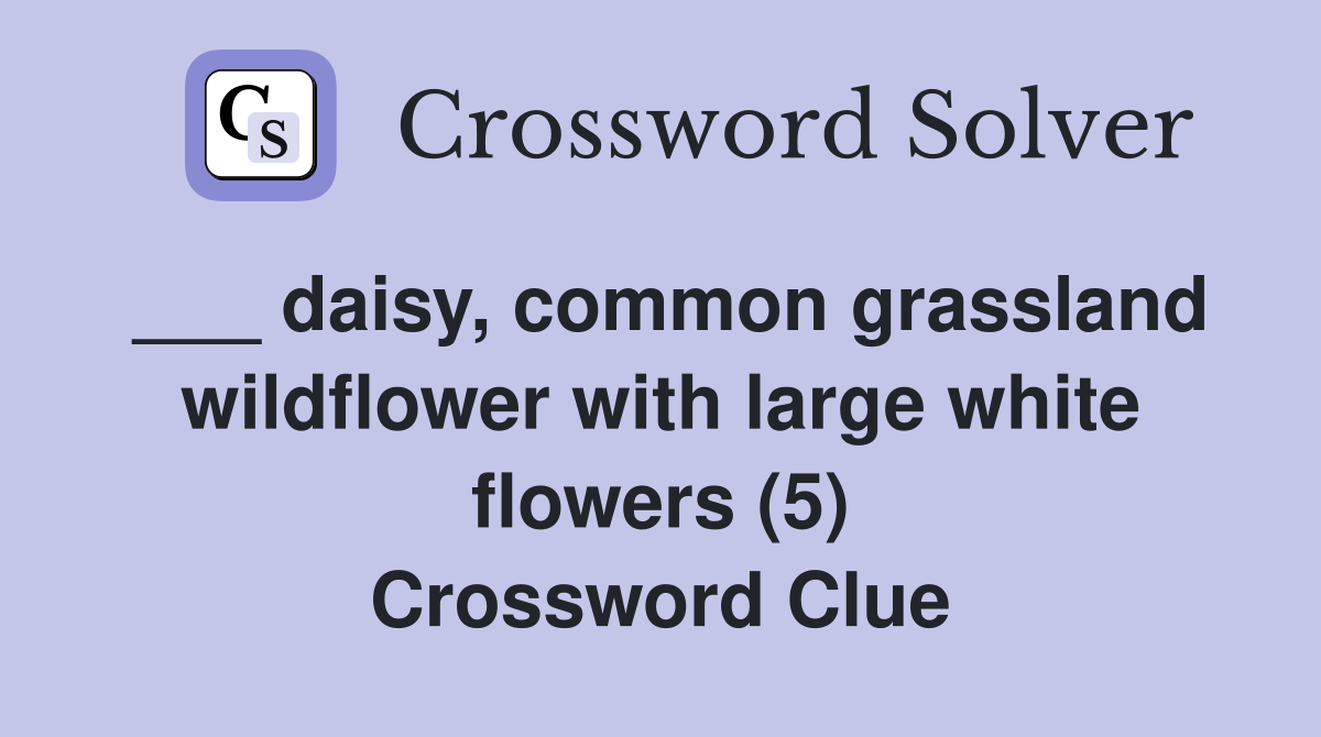 ___ daisy, common grassland wildflower with large white flowers (5) Crossword Clue