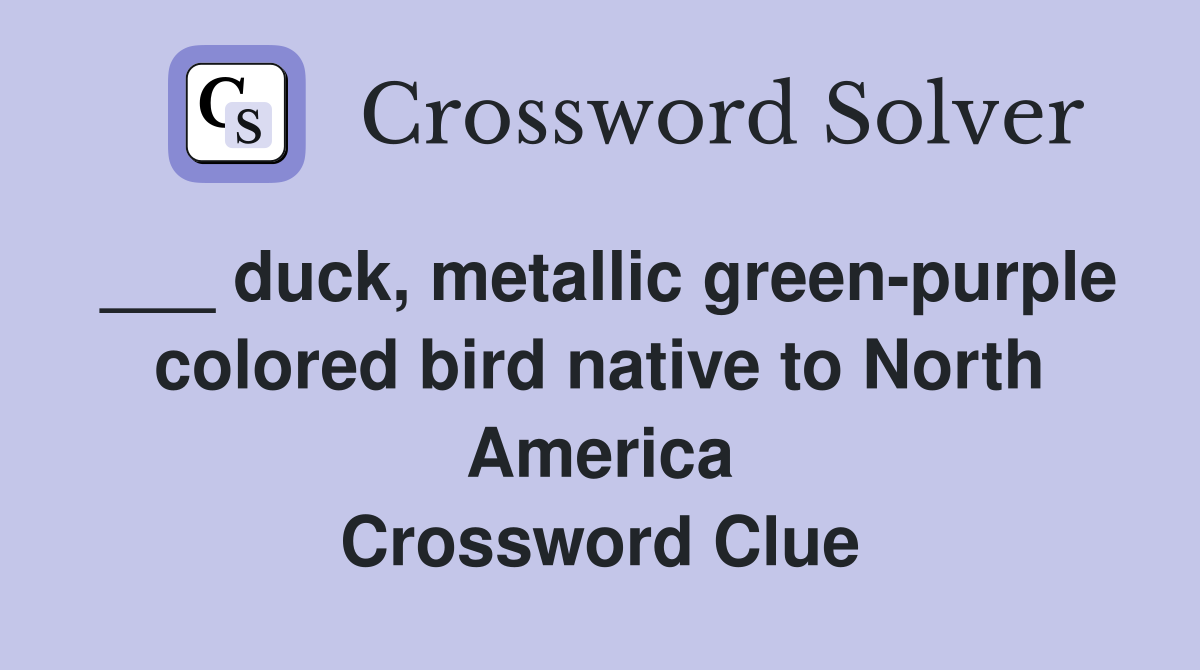 ___ duck, metallic green-purple colored bird native to North America Crossword Clue