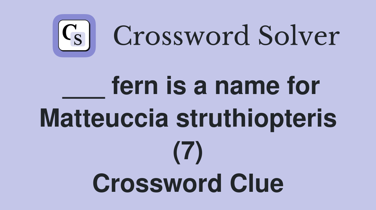 ___ fern is a name for Matteuccia struthiopteris (7) Crossword Clue