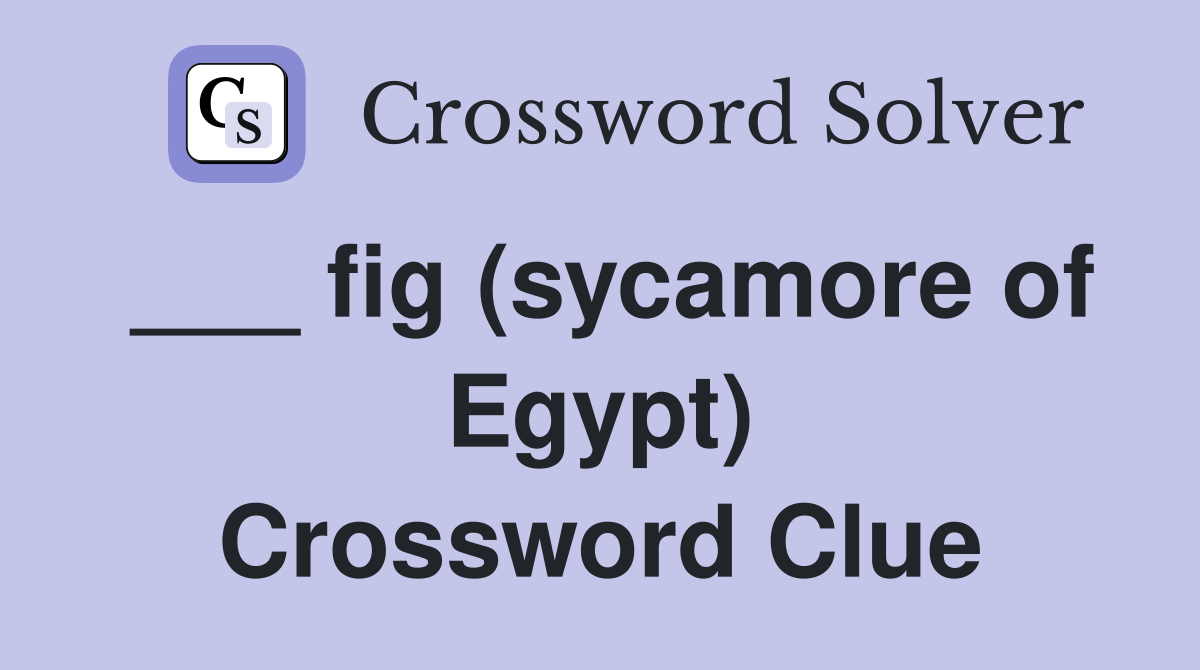 ___ fig (sycamore of Egypt) Crossword Clue