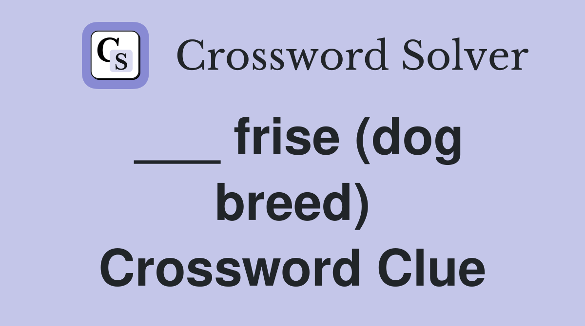 ___ frise (dog breed) Crossword Clue