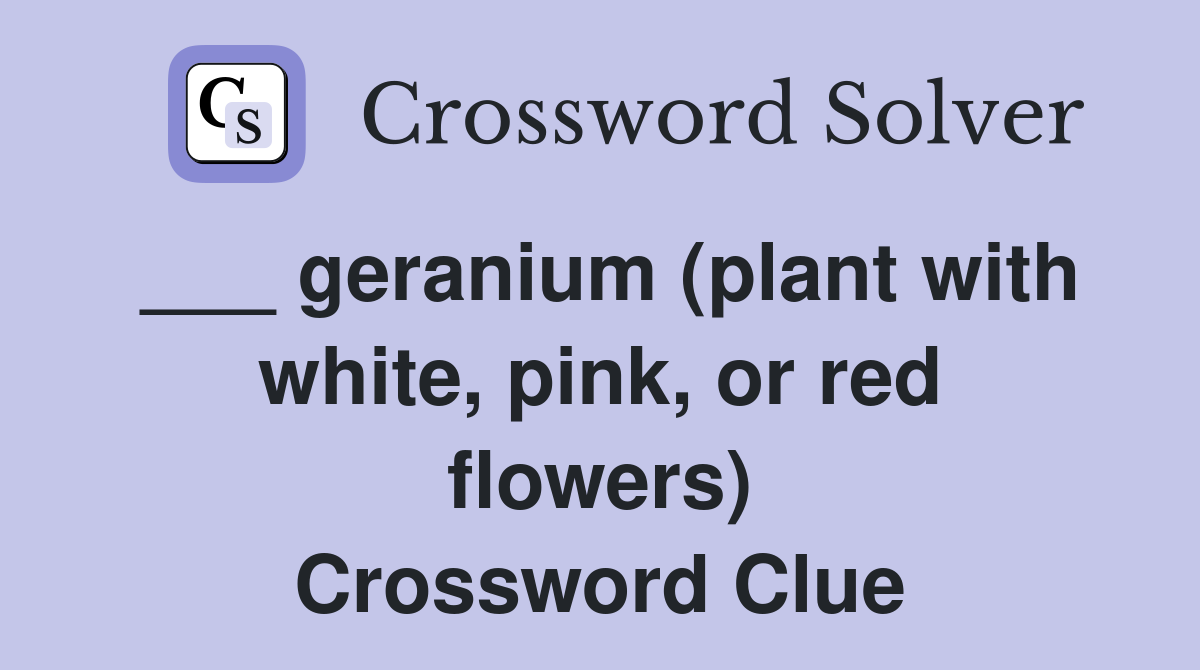 ___ geranium (plant with white, pink, or red flowers) Crossword Clue