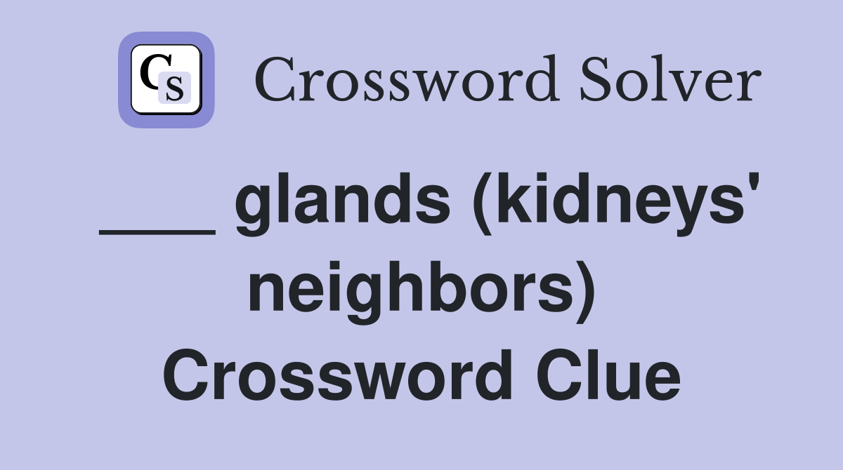 ___ glands (kidneys' neighbors) Crossword Clue