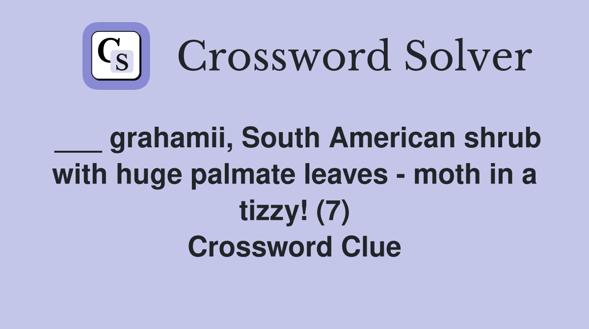 ___ grahamii, South American shrub with huge palmate leaves - moth in a tizzy! (7) Crossword Clue