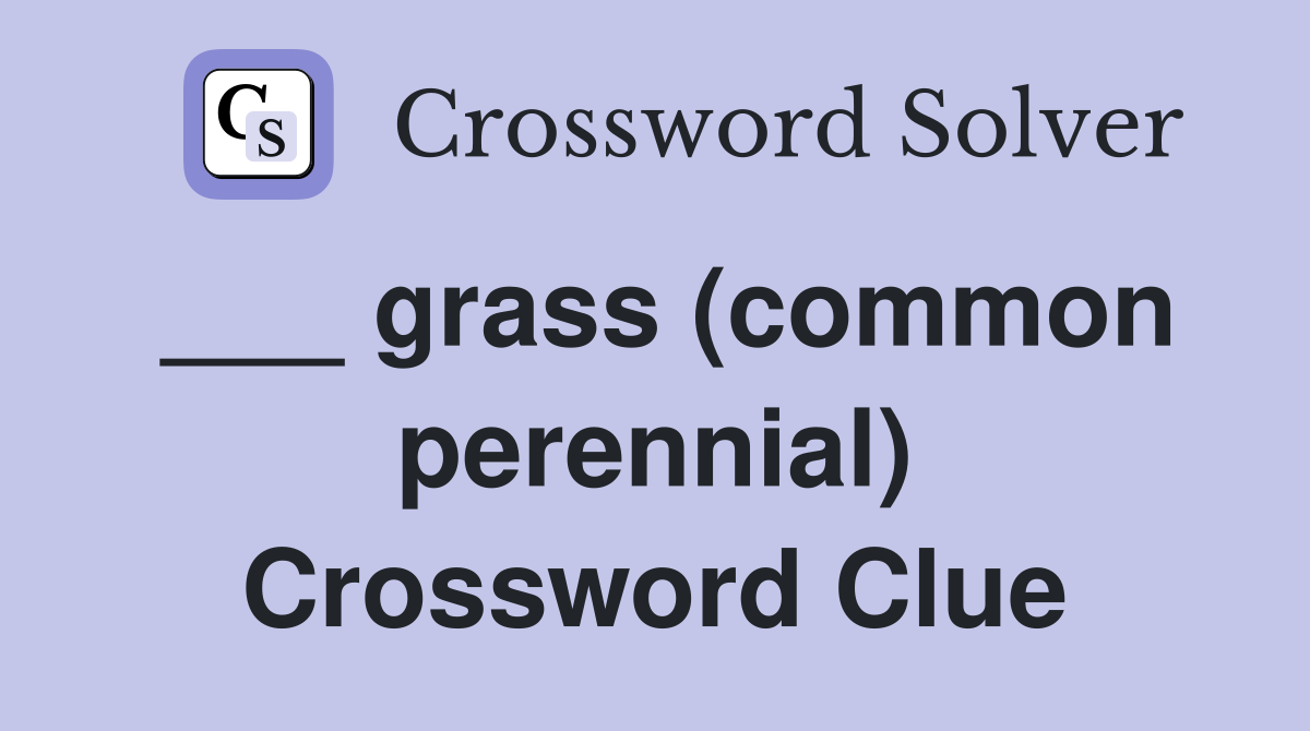 ___ grass (common perennial) Crossword Clue