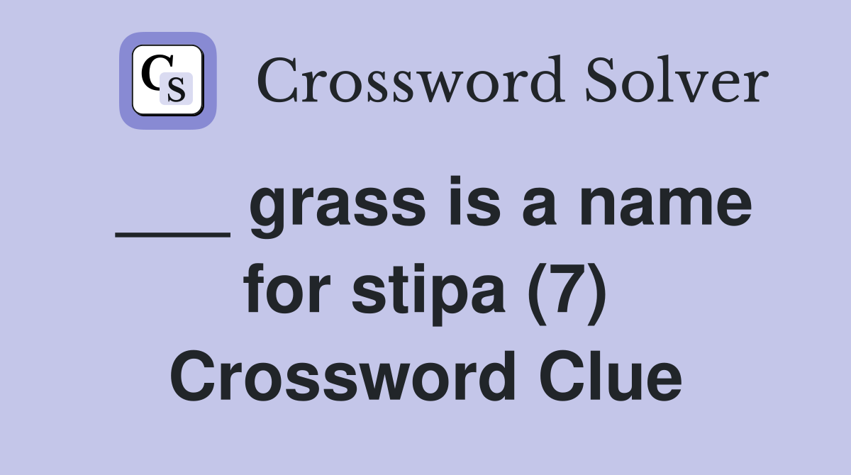___ grass is a name for stipa (7) Crossword Clue