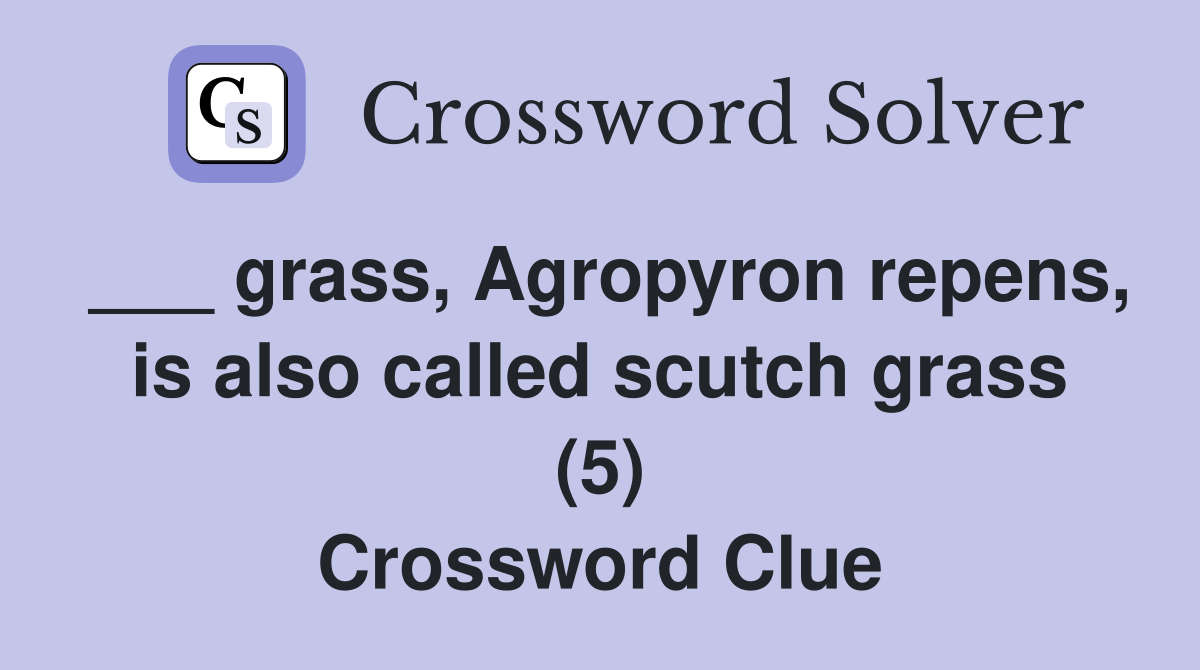 ___ grass, Agropyron repens, is also called scutch grass (5) Crossword Clue