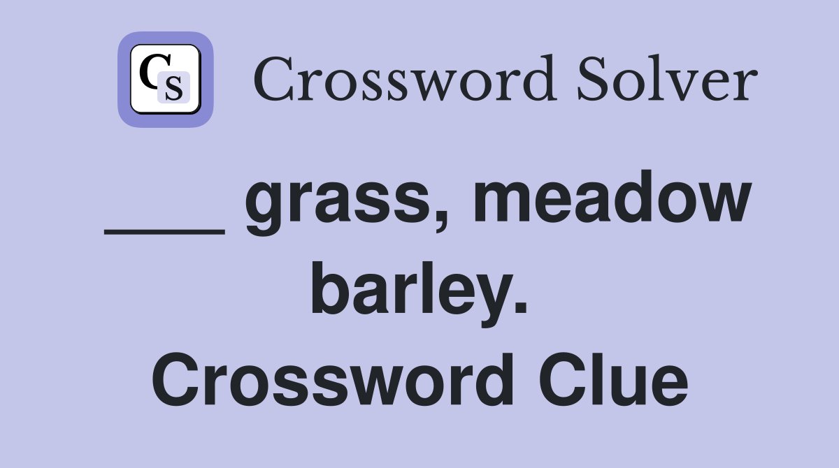 ___ grass, meadow barley. Crossword Clue