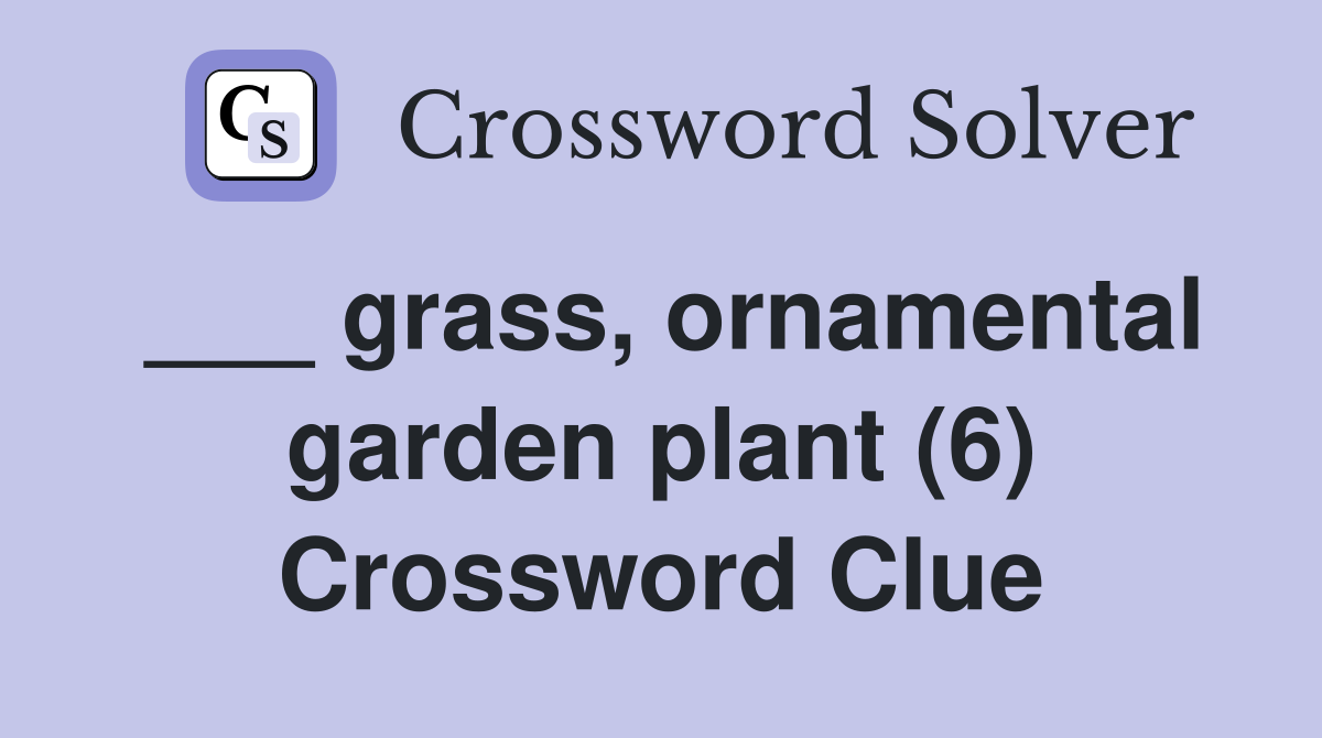 ___ grass, ornamental garden plant (6) Crossword Clue