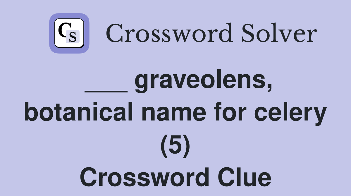 ___ graveolens, botanical name for celery (5) Crossword Clue