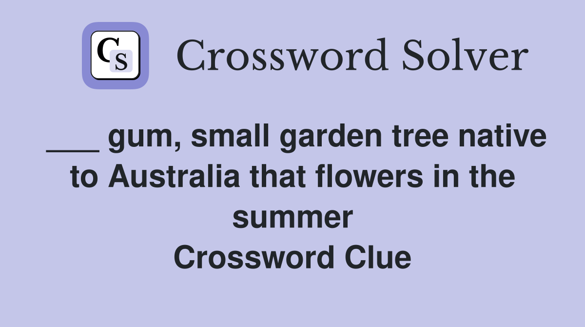 ___ gum, small garden tree native to Australia that flowers in the summer Crossword Clue