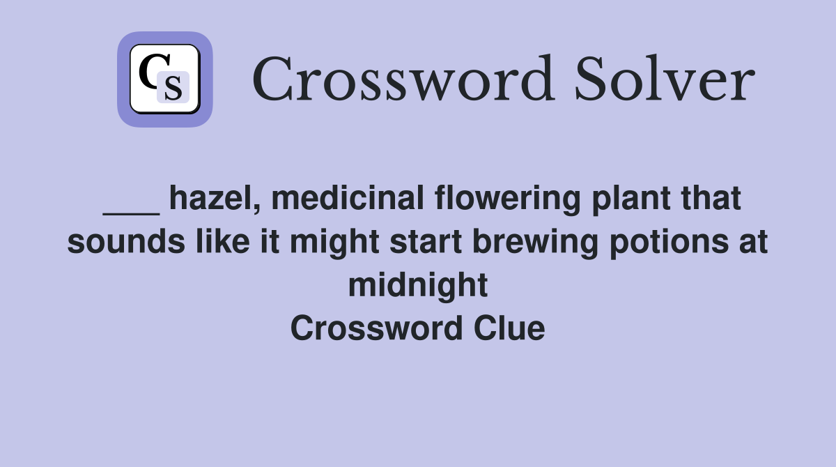 ___ hazel, medicinal flowering plant that sounds like it might start brewing potions at midnight Crossword Clue