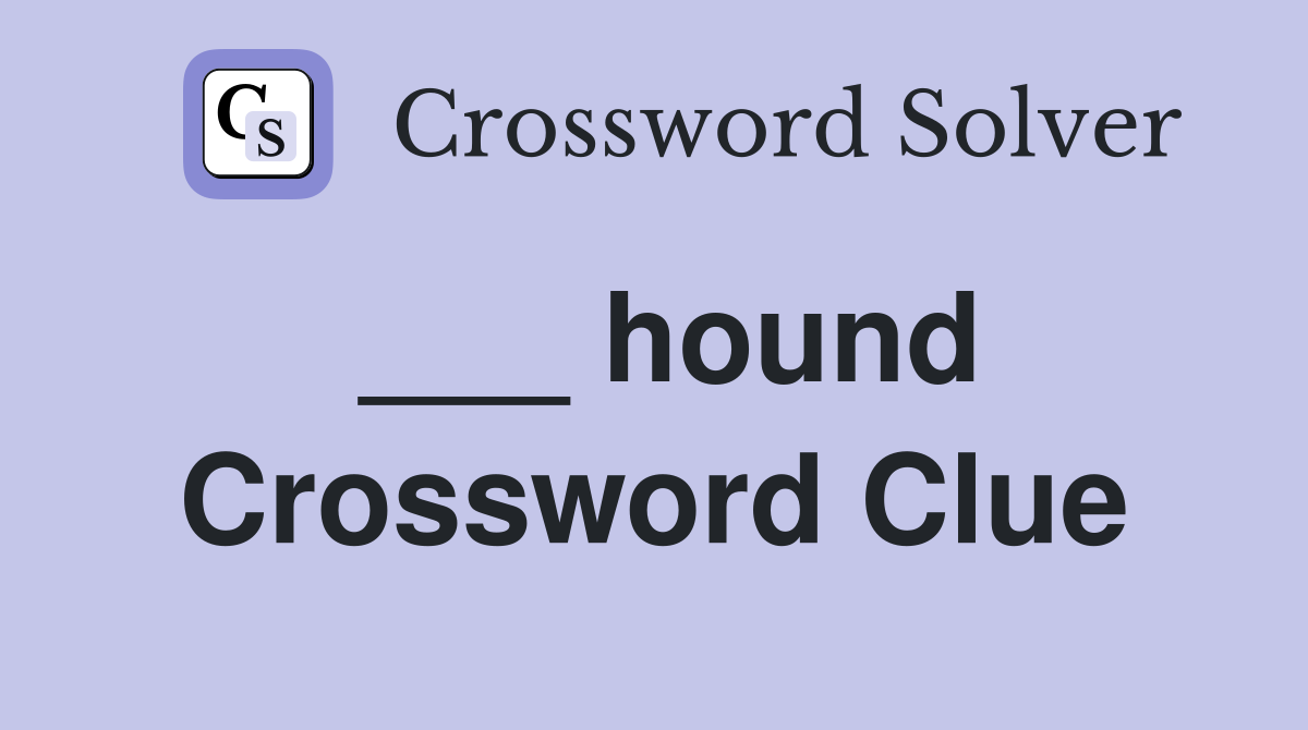 ___ hound Crossword Clue