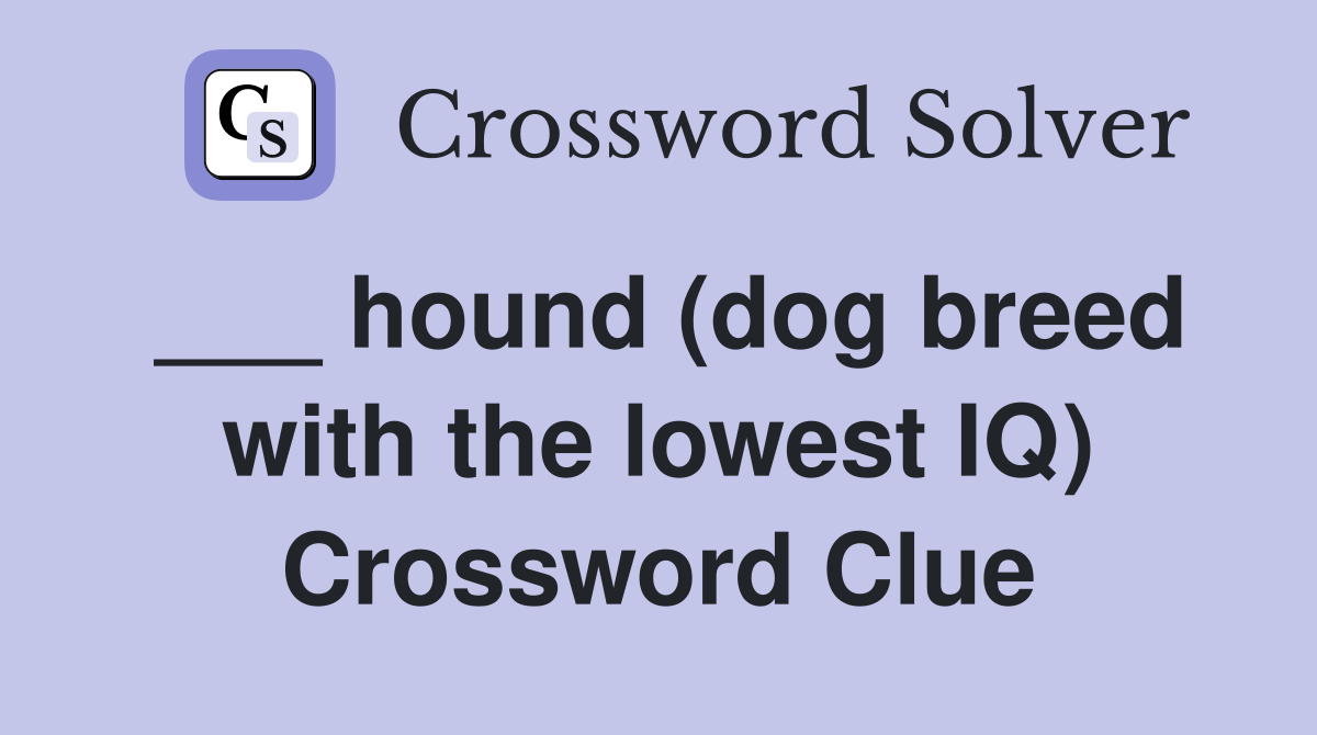 ___ hound (dog breed with the lowest IQ) Crossword Clue