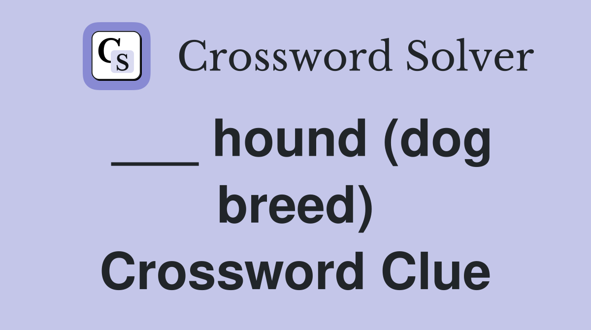 ___ hound (dog breed) Crossword Clue