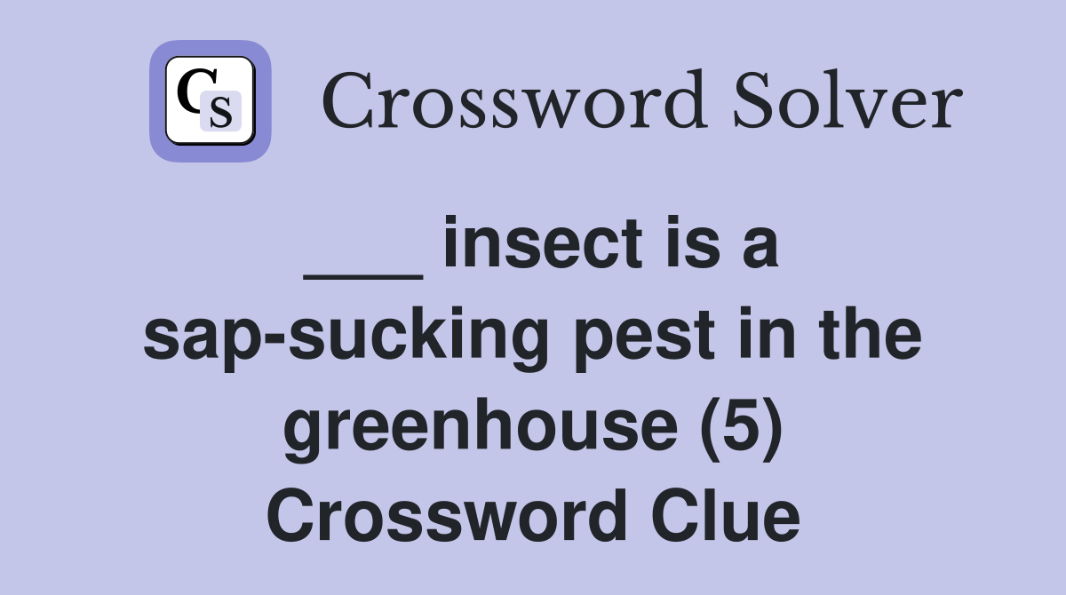 ___ insect is a sap-sucking pest in the greenhouse (5) Crossword Clue