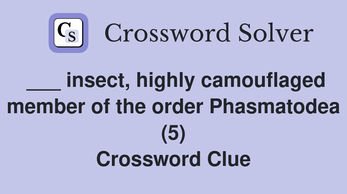 ___ insect, highly camouflaged member of the order Phasmatodea (5) Crossword Clue