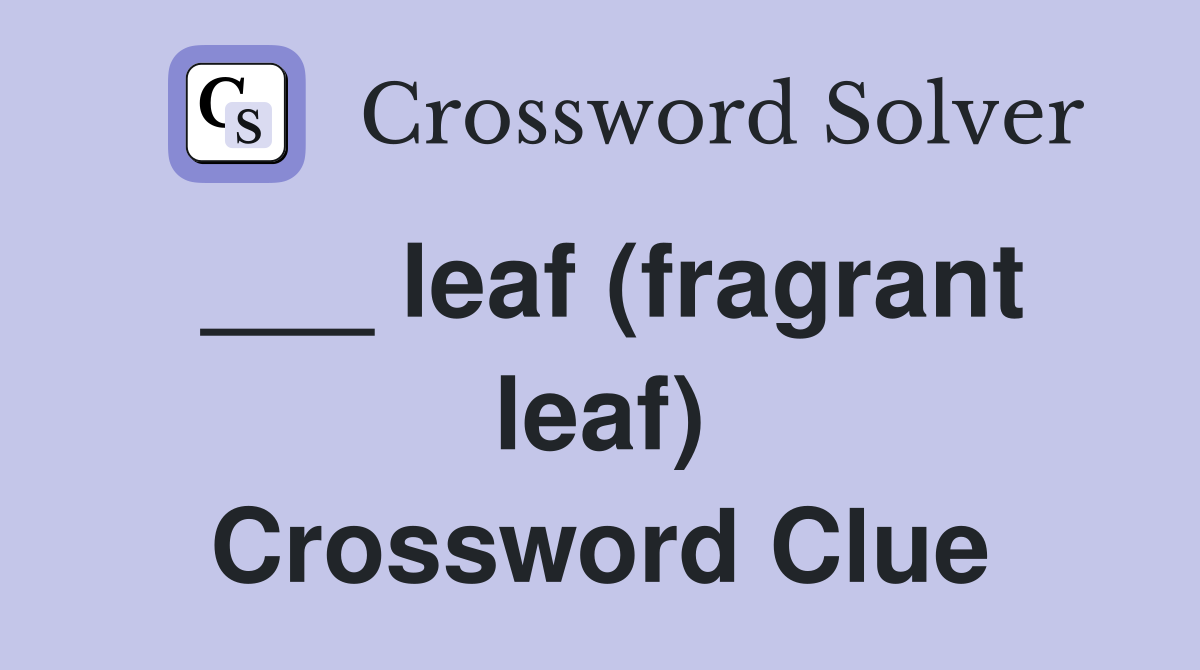 ___ leaf (fragrant leaf) Crossword Clue
