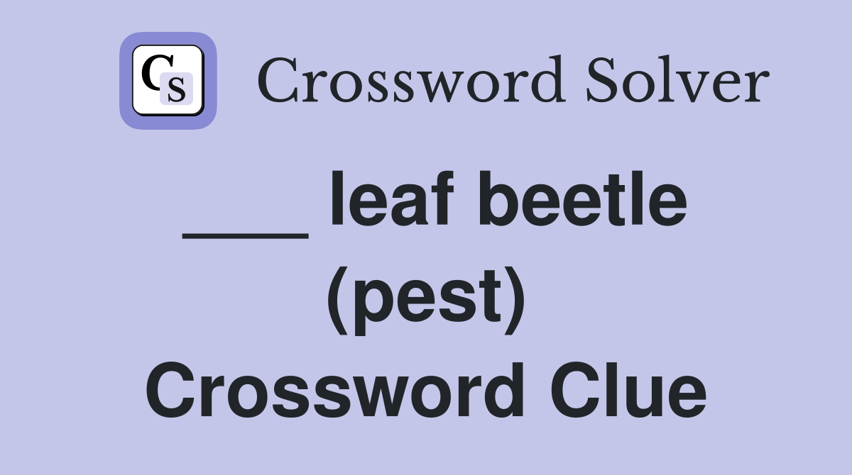 ___ leaf beetle (pest) Crossword Clue