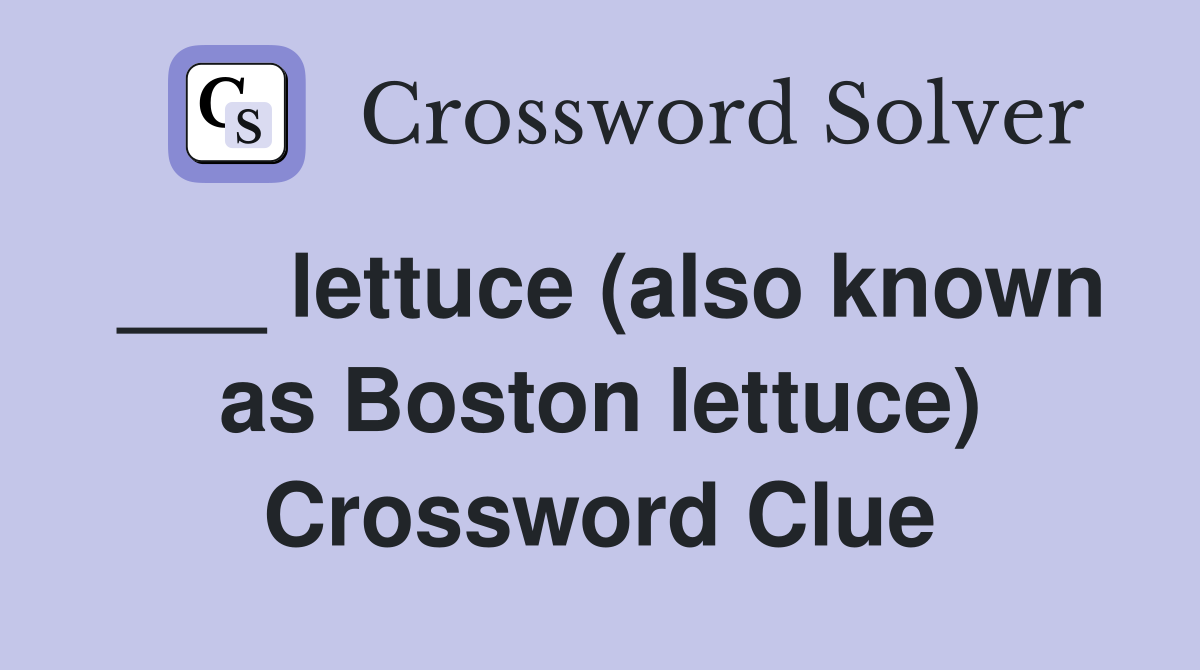 ___ lettuce (also known as Boston lettuce) Crossword Clue