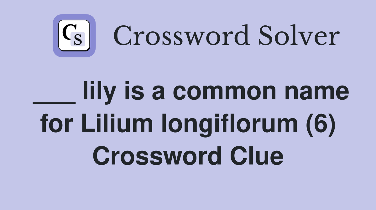 ___ lily is a common name for Lilium longiflorum (6) Crossword Clue