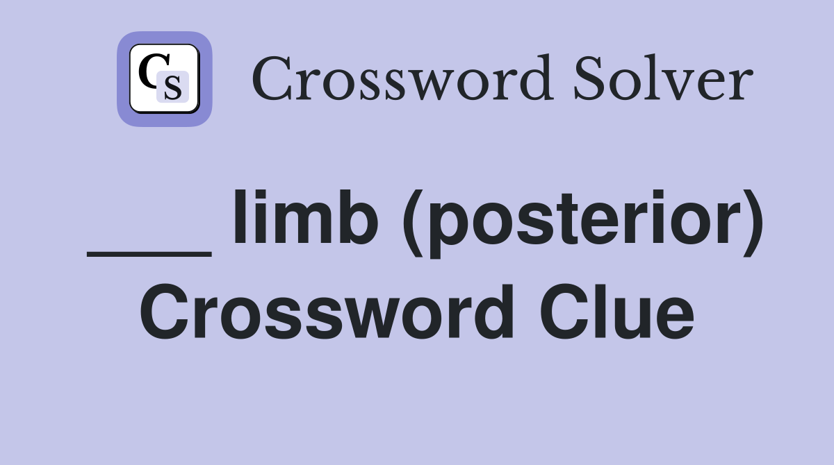 ___ limb (posterior) Crossword Clue