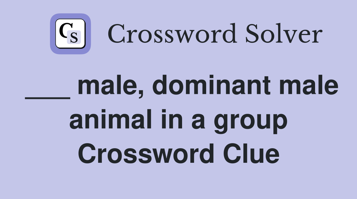 ___ male, dominant male animal in a group Crossword Clue