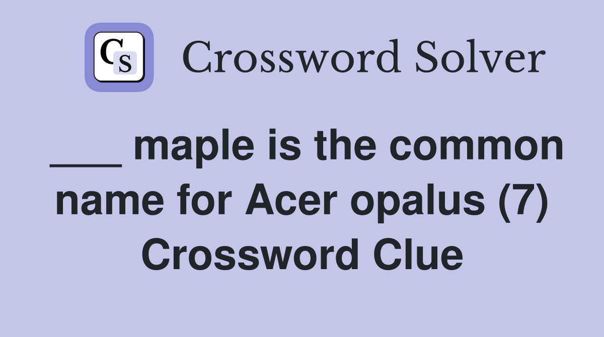 ___ maple is the common name for Acer opalus (7) Crossword Clue