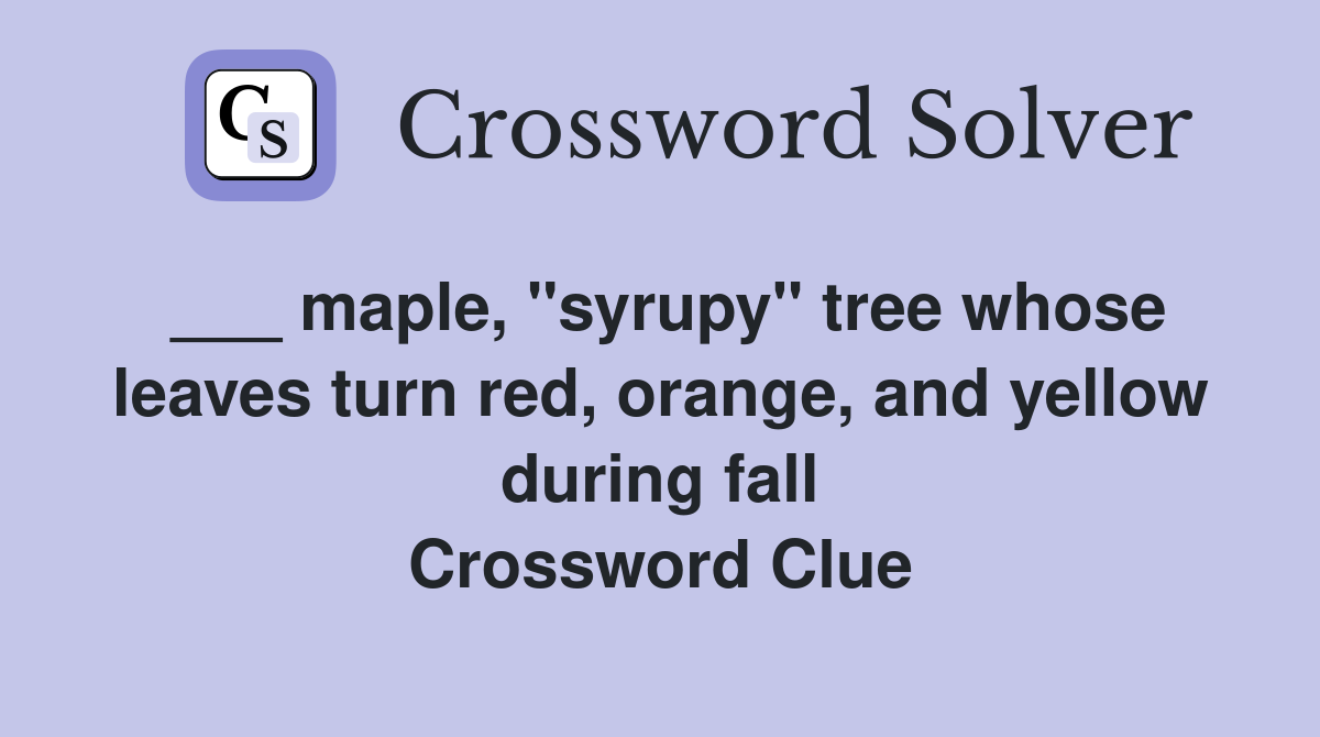___ maple, "syrupy" tree whose leaves turn red, orange, and yellow during fall Crossword Clue