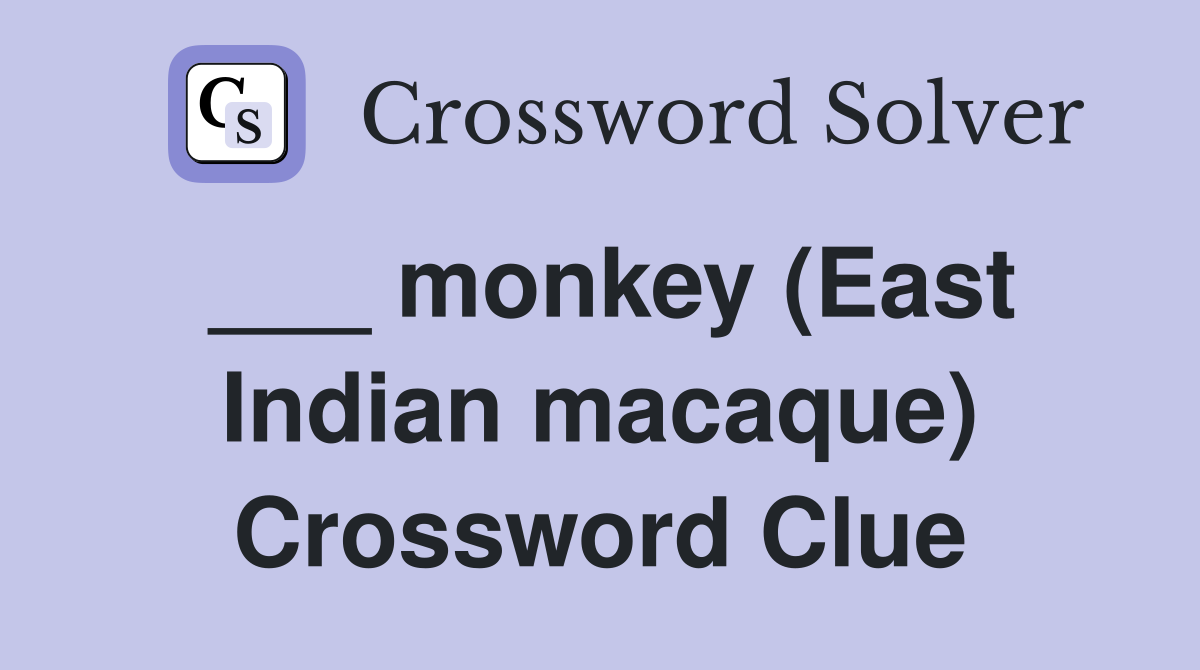 ___ monkey (East Indian macaque) Crossword Clue