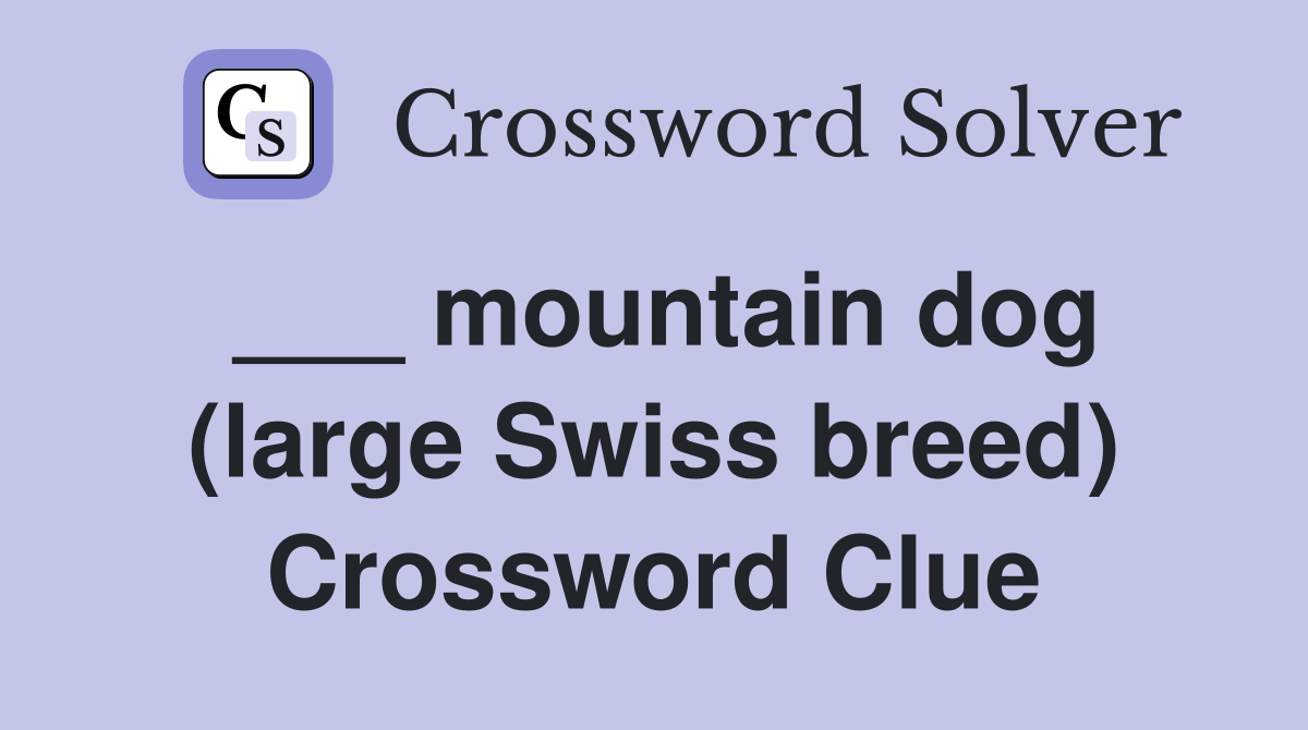 ___ mountain dog (large Swiss breed) Crossword Clue