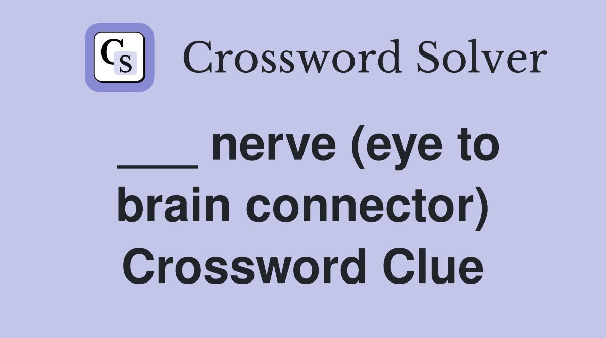 ___ nerve (eye to brain connector) Crossword Clue