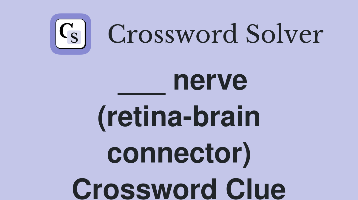 ___ nerve (retina-brain connector) Crossword Clue