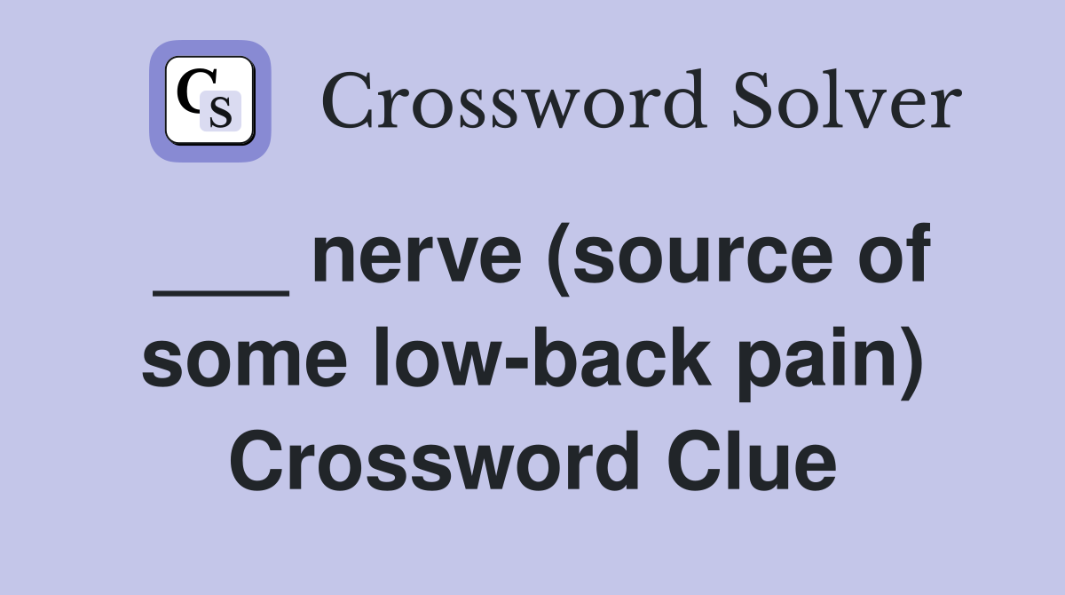 ___ nerve (source of some low-back pain) Crossword Clue