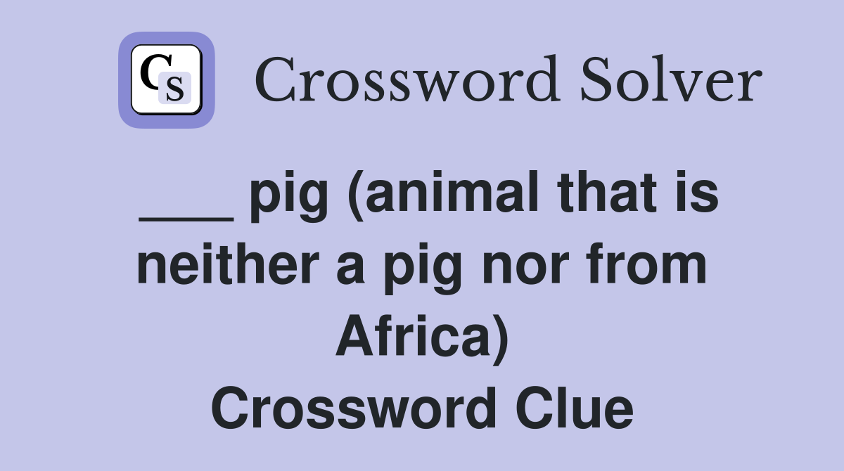 ___ pig (animal that is neither a pig nor from Africa) Crossword Clue