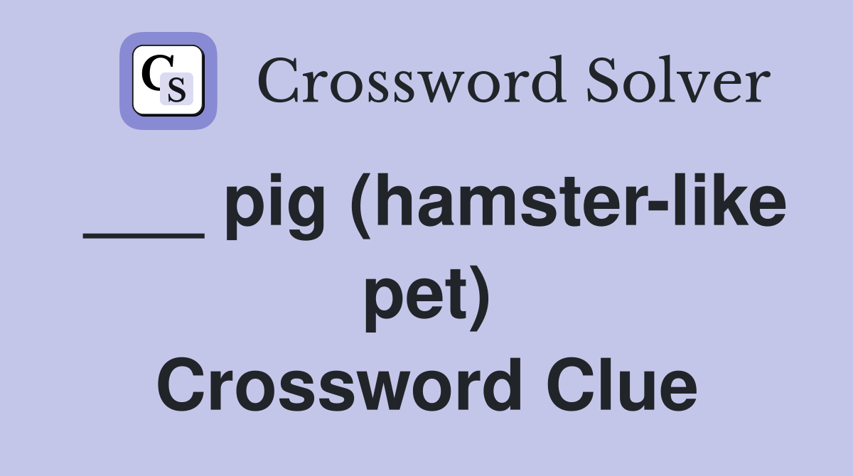 ___ pig (hamster-like pet) Crossword Clue