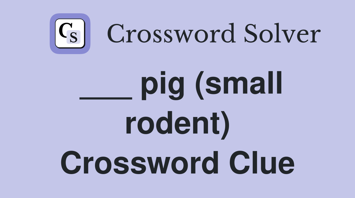 ___ pig (small rodent) Crossword Clue