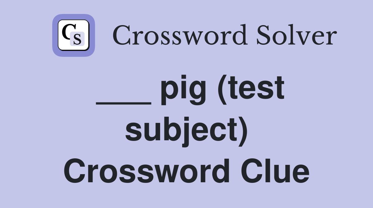 ___ pig (test subject) Crossword Clue