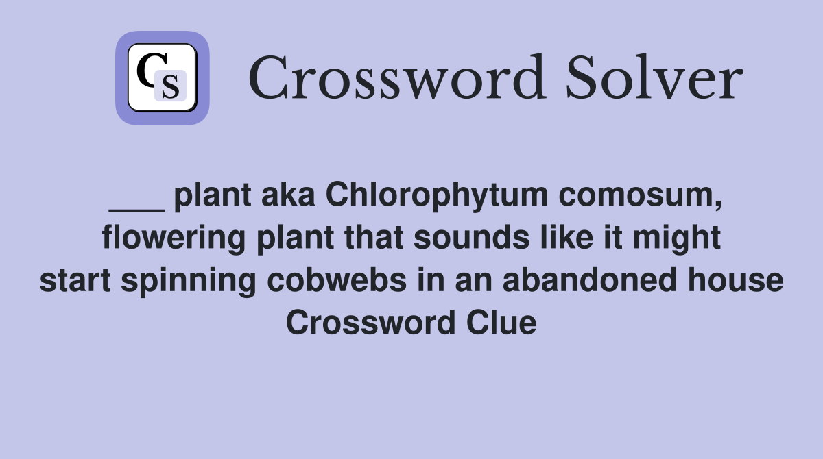 ___ plant aka Chlorophytum comosum, flowering plant that sounds like it might start spinning cobwebs in an abandoned house Crossword Clue