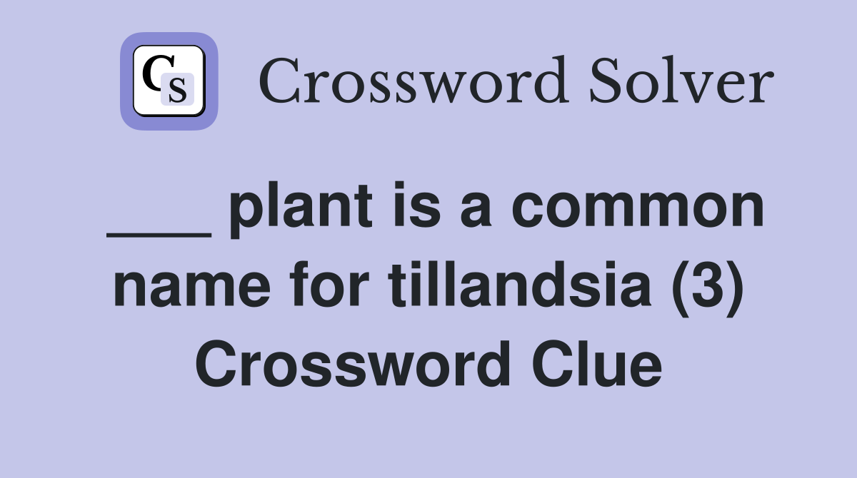 ___ plant is a common name for tillandsia (3) Crossword Clue