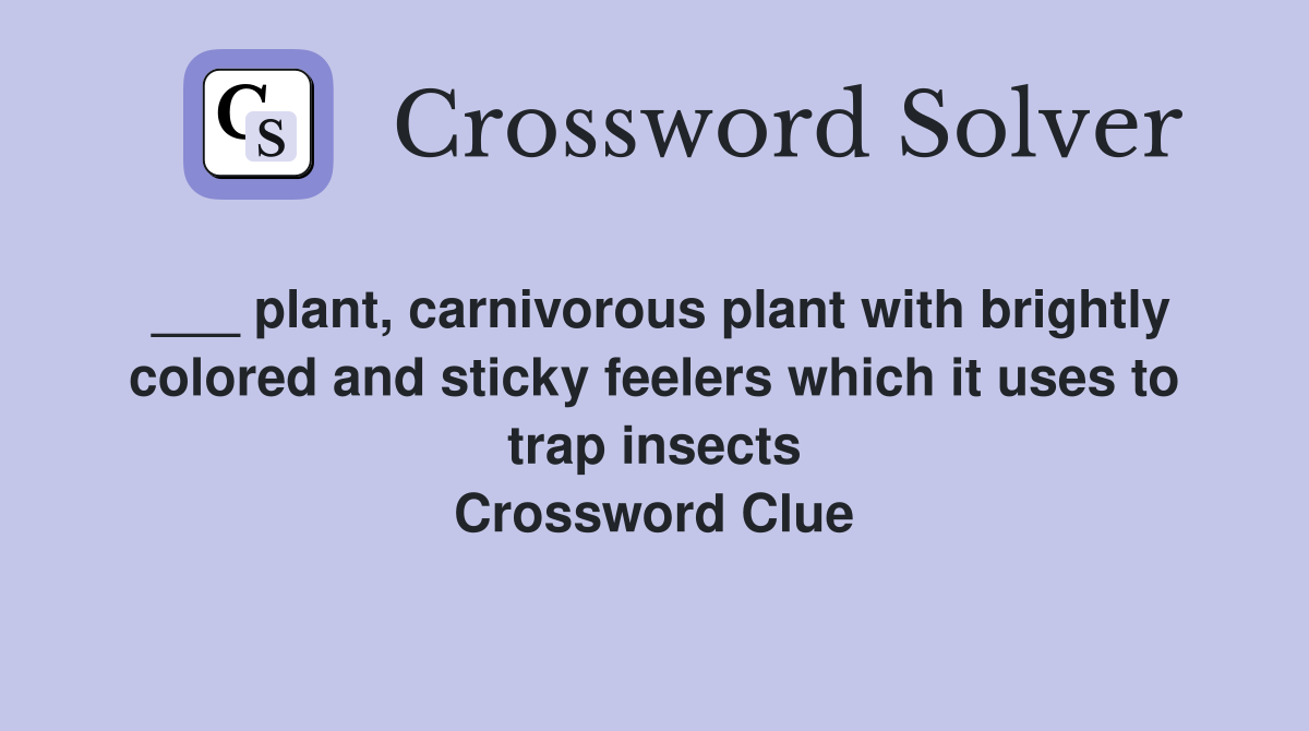 ___ plant, carnivorous plant with brightly colored and sticky feelers which it uses to trap insects Crossword Clue