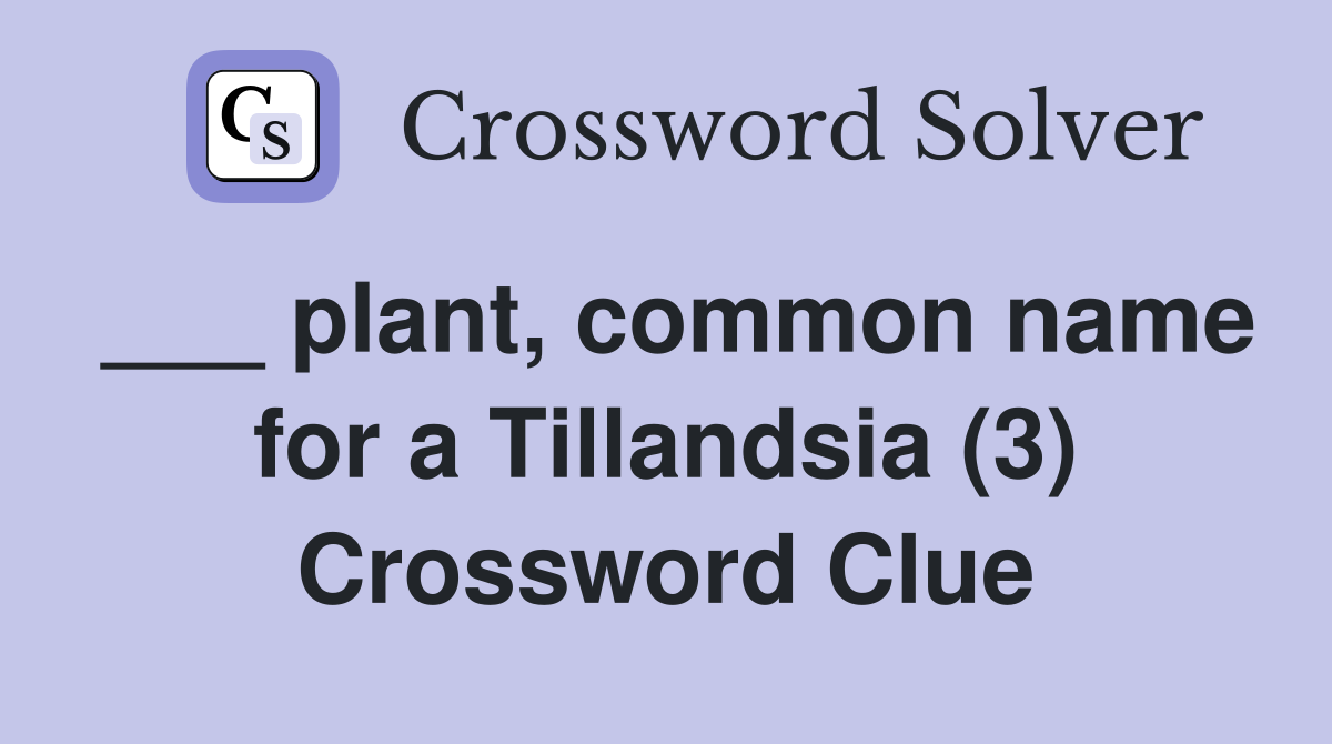 ___ plant, common name for a Tillandsia (3) Crossword Clue