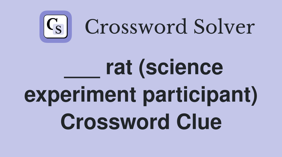 ___ rat (science experiment participant) Crossword Clue