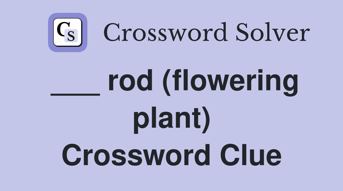 ___ rod (flowering plant) Crossword Clue