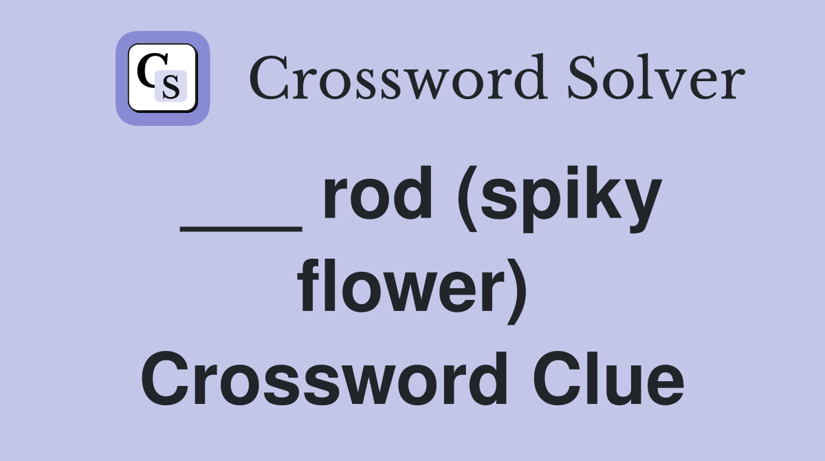 ___ rod (spiky flower) Crossword Clue