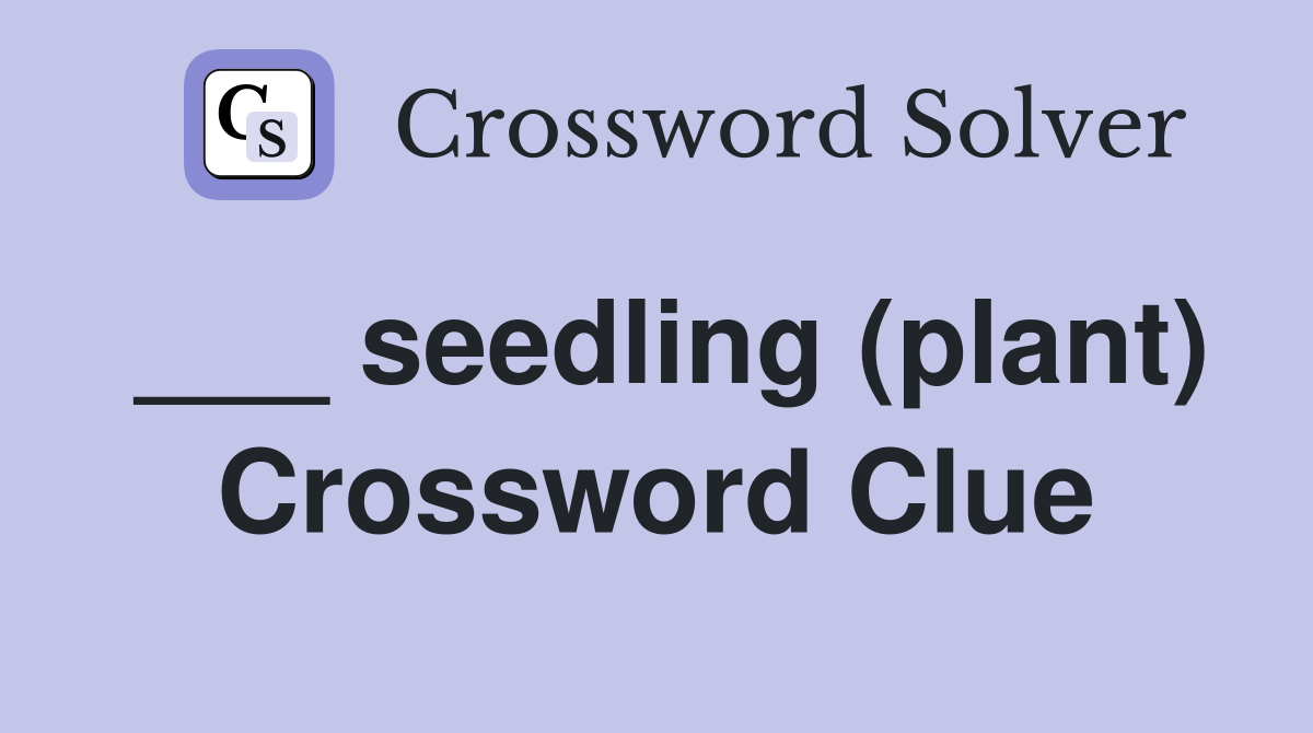___ seedling (plant) Crossword Clue