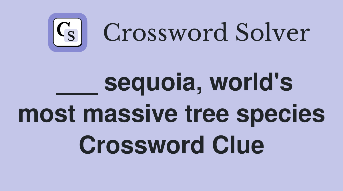 ___ sequoia, world's most massive tree species Crossword Clue