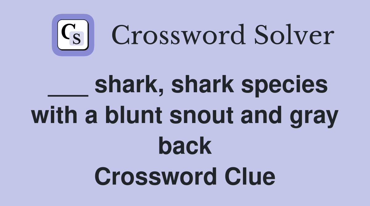 ___ shark, shark species with a blunt snout and gray back Crossword Clue