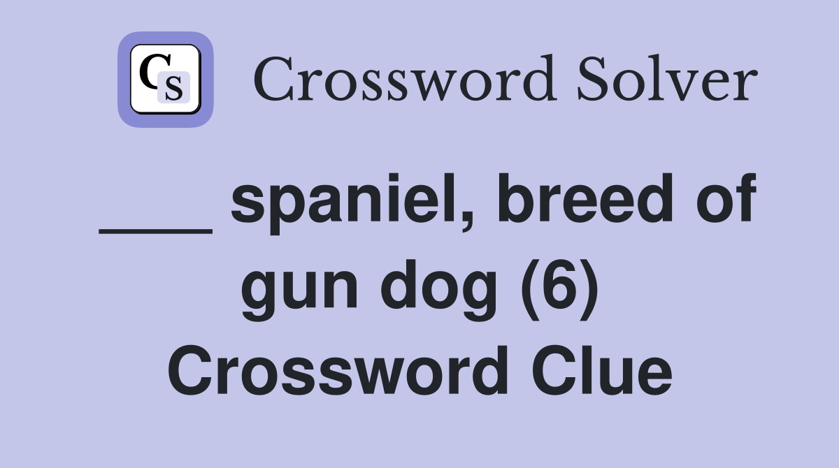 ___ spaniel, breed of gun dog (6) Crossword Clue