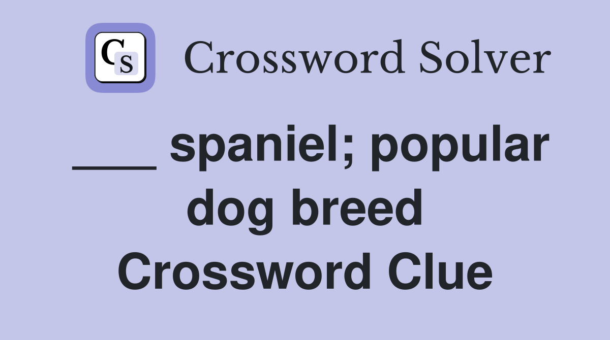 ___ spaniel; popular dog breed Crossword Clue